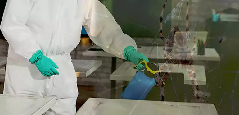 Why Buyers Still Want Homes With Pest Infestations in Mesa, AZ?