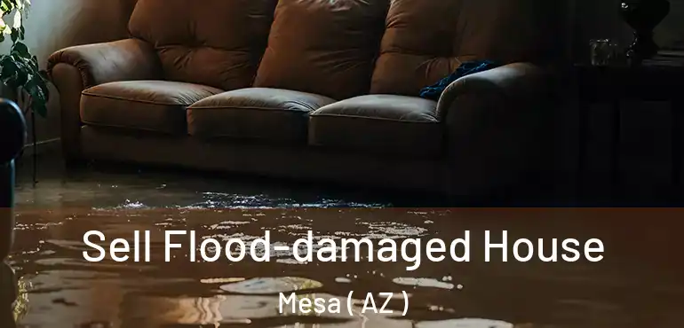  Sell Flood-damaged House Mesa ( AZ )