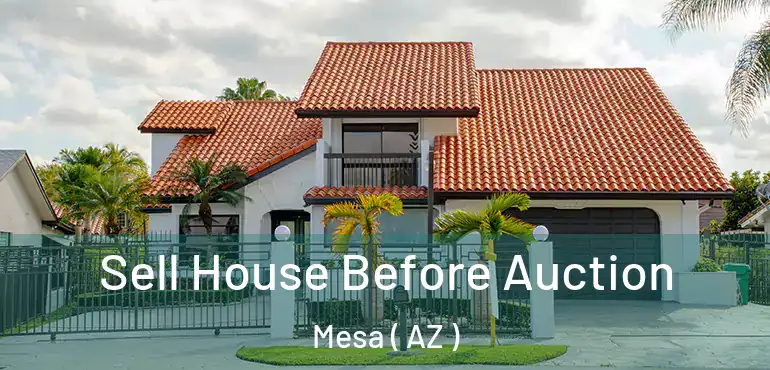  Sell House Before Auction Mesa ( AZ )