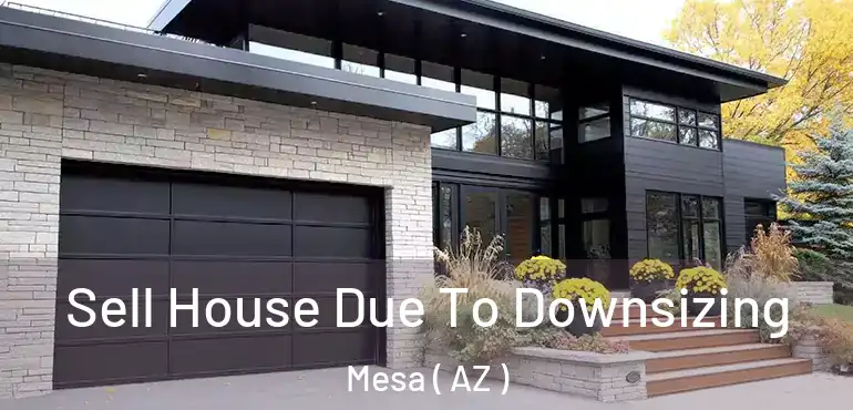 Sell House Due To Downsizing Mesa ( AZ )