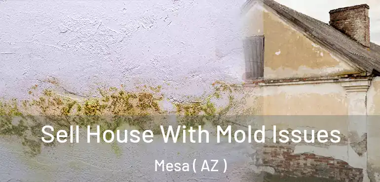 Sell House With Mold Issues Mesa ( AZ )
