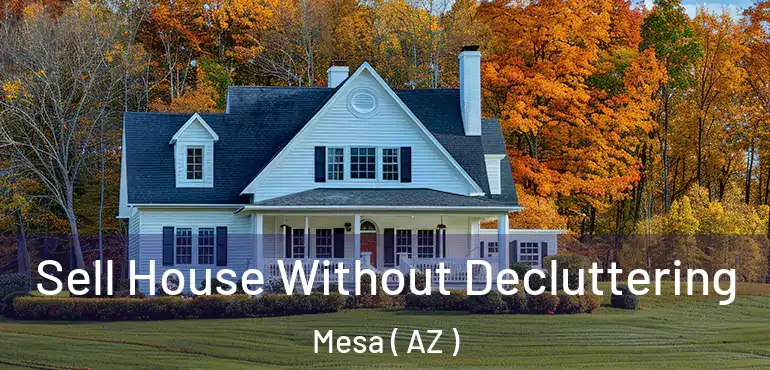  Sell House Without Decluttering Mesa ( AZ )